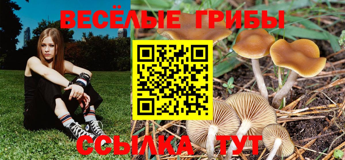 Борзя  купить наркоту  Галлюциногенные грибы Psilocybe  Вход с VPN  Псилоцибиновые грибы Psilocybine cubensis 