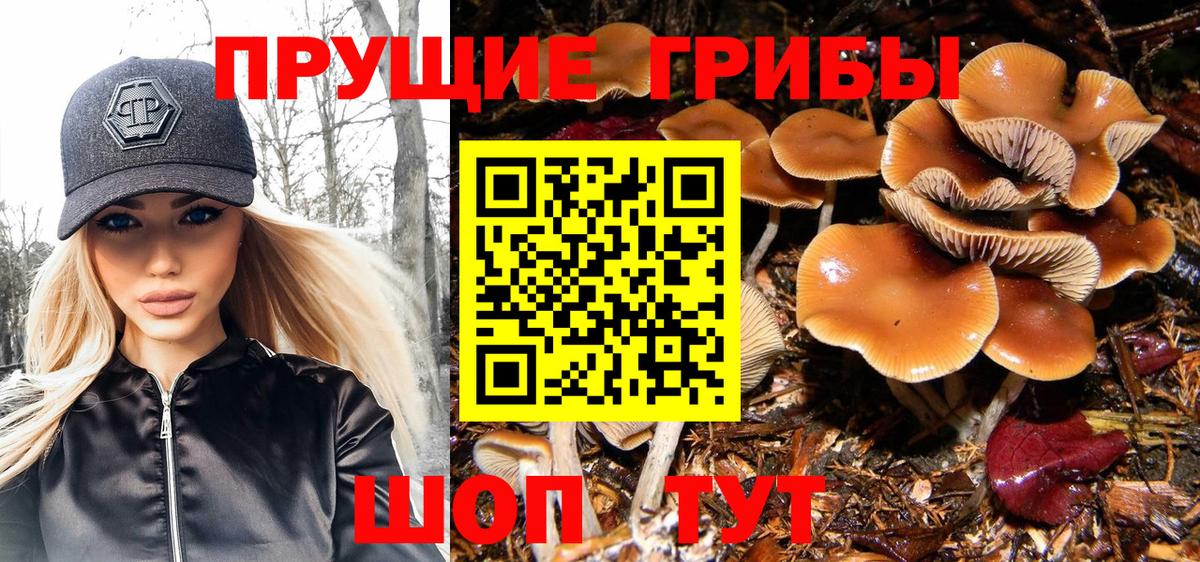 Галлюциногенные грибы ЛСД Борзя